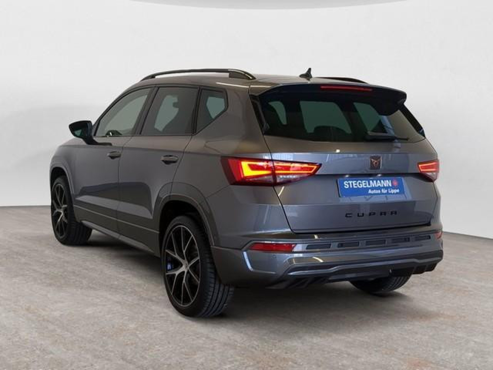 diagonalansicht-hinten-aussen