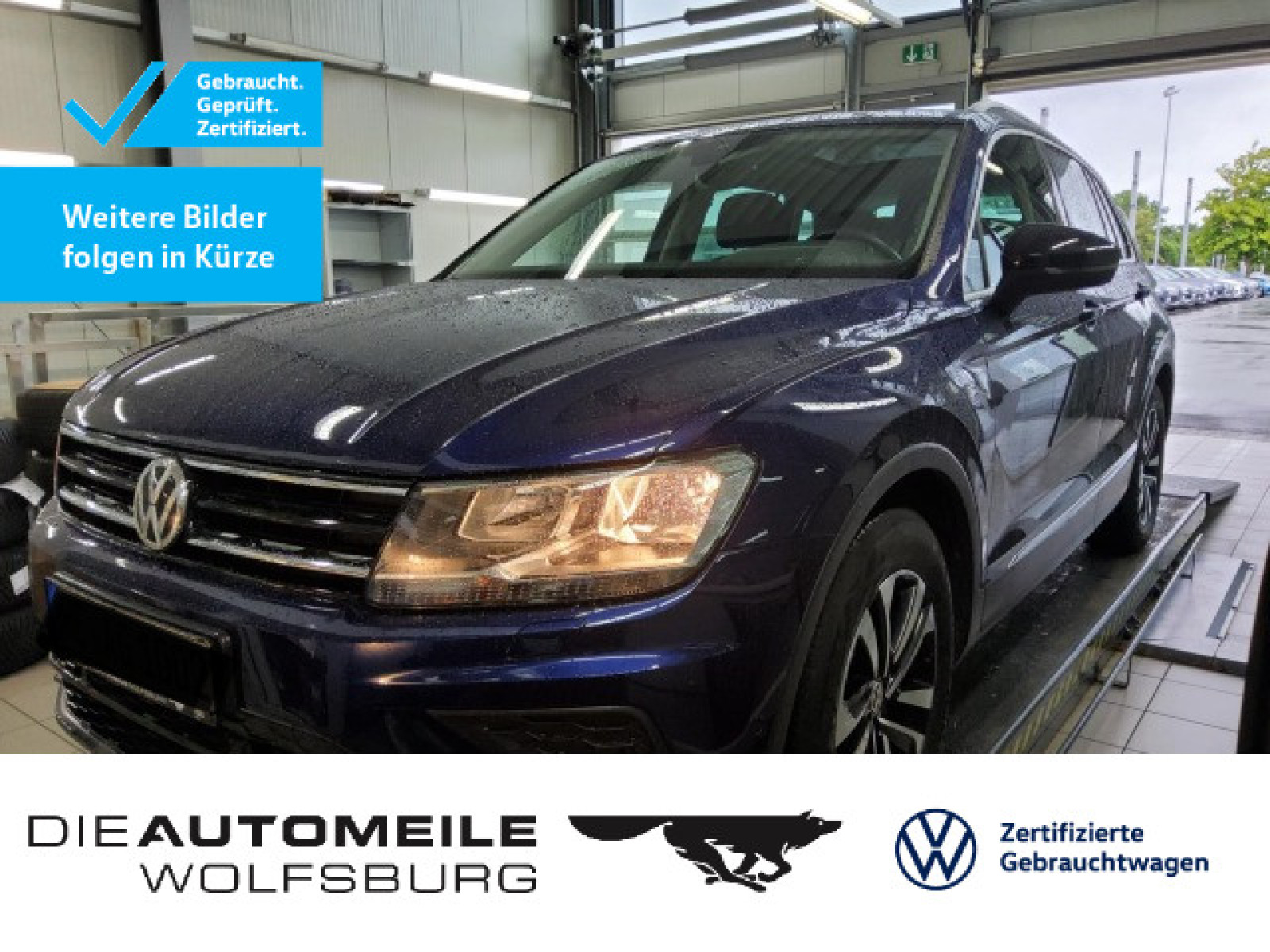 Tiguan 2.0 TDI IQ.DRIVE ACC/AHK/Pano