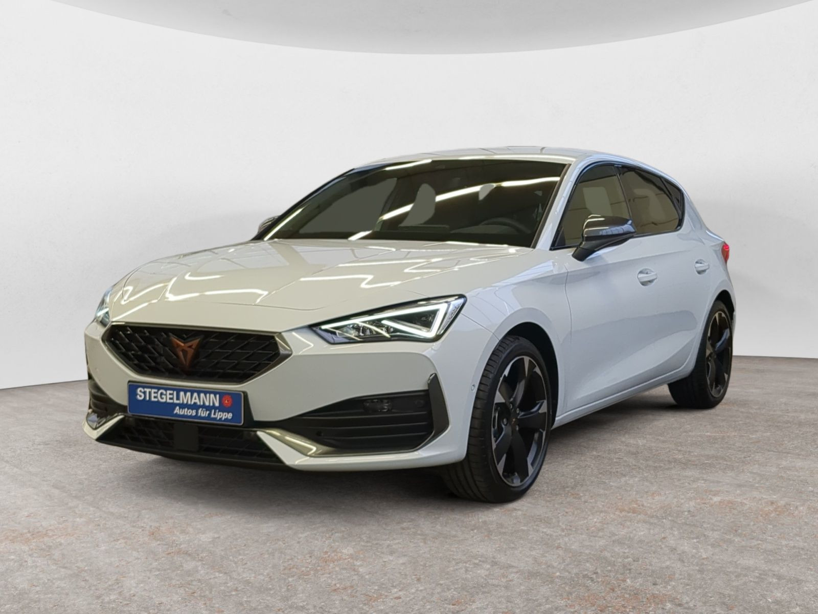 diagonal-frontansicht-aussen