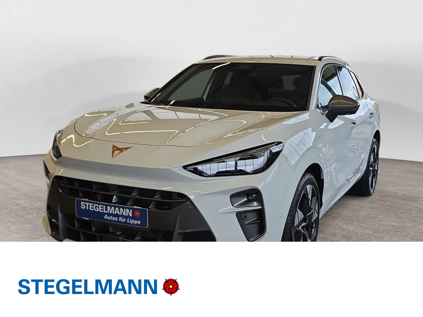 diagonal-frontansicht-aussen