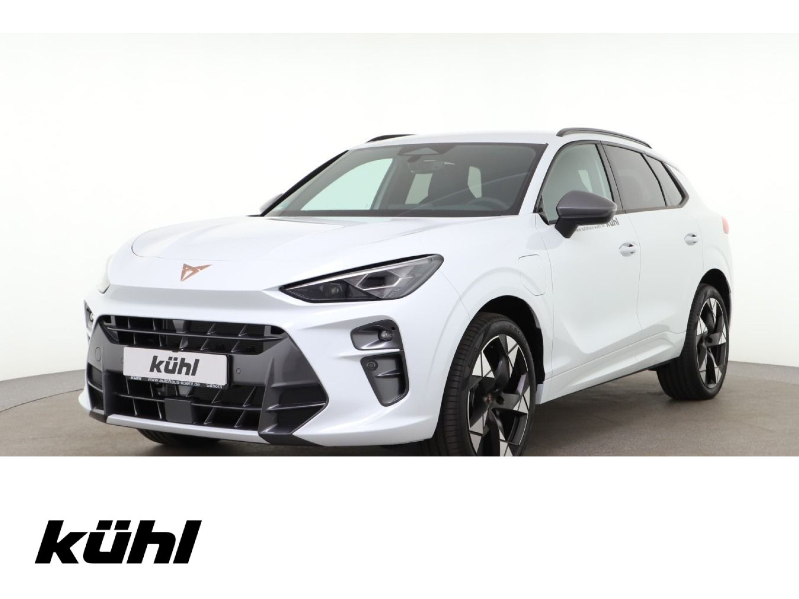 diagonal-frontansicht-aussen