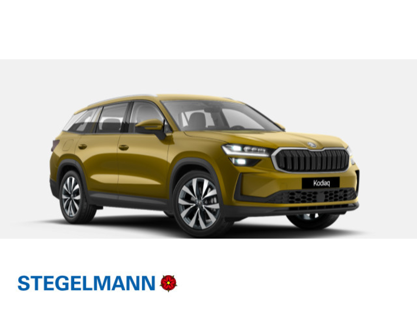Kodiaq 2.0 TDI DSG Selection AREA VIEW 360°*Matrix*AHK*19Zoll