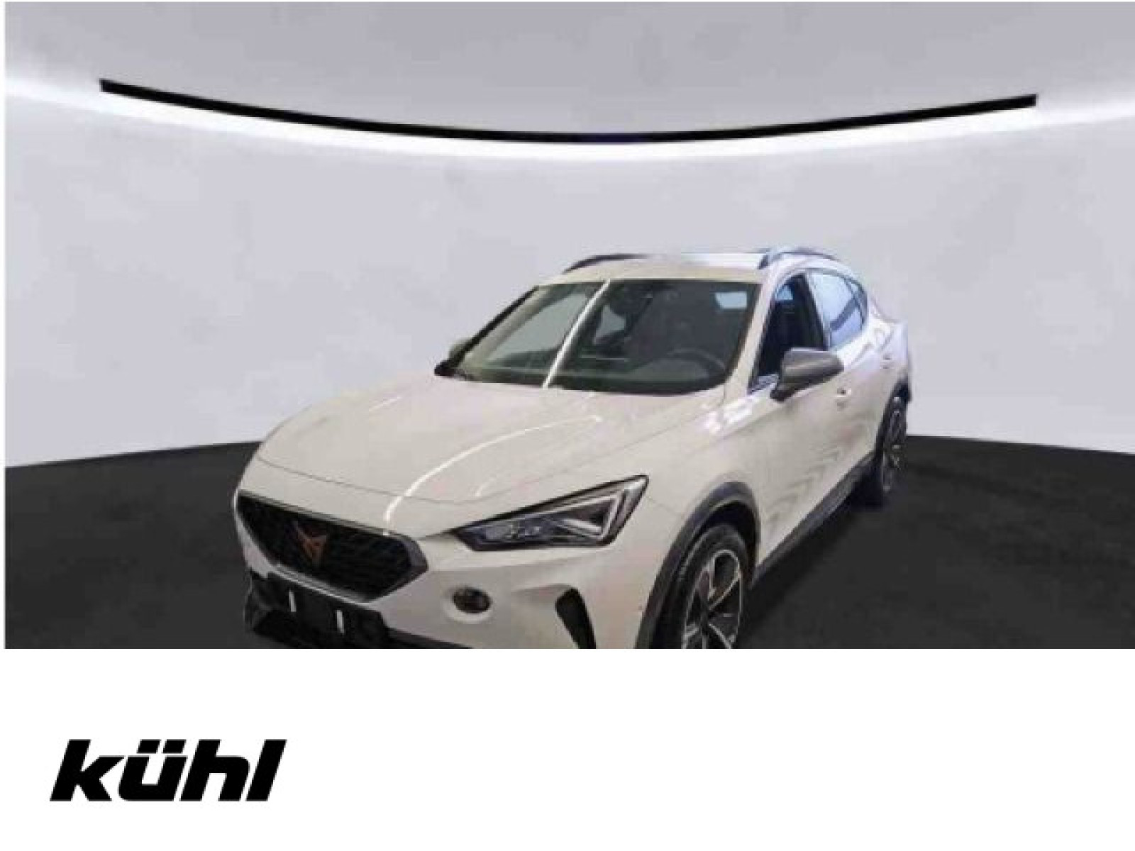 Formentor 1.4 TSI eHybrid LED Kamera App Navi AHK