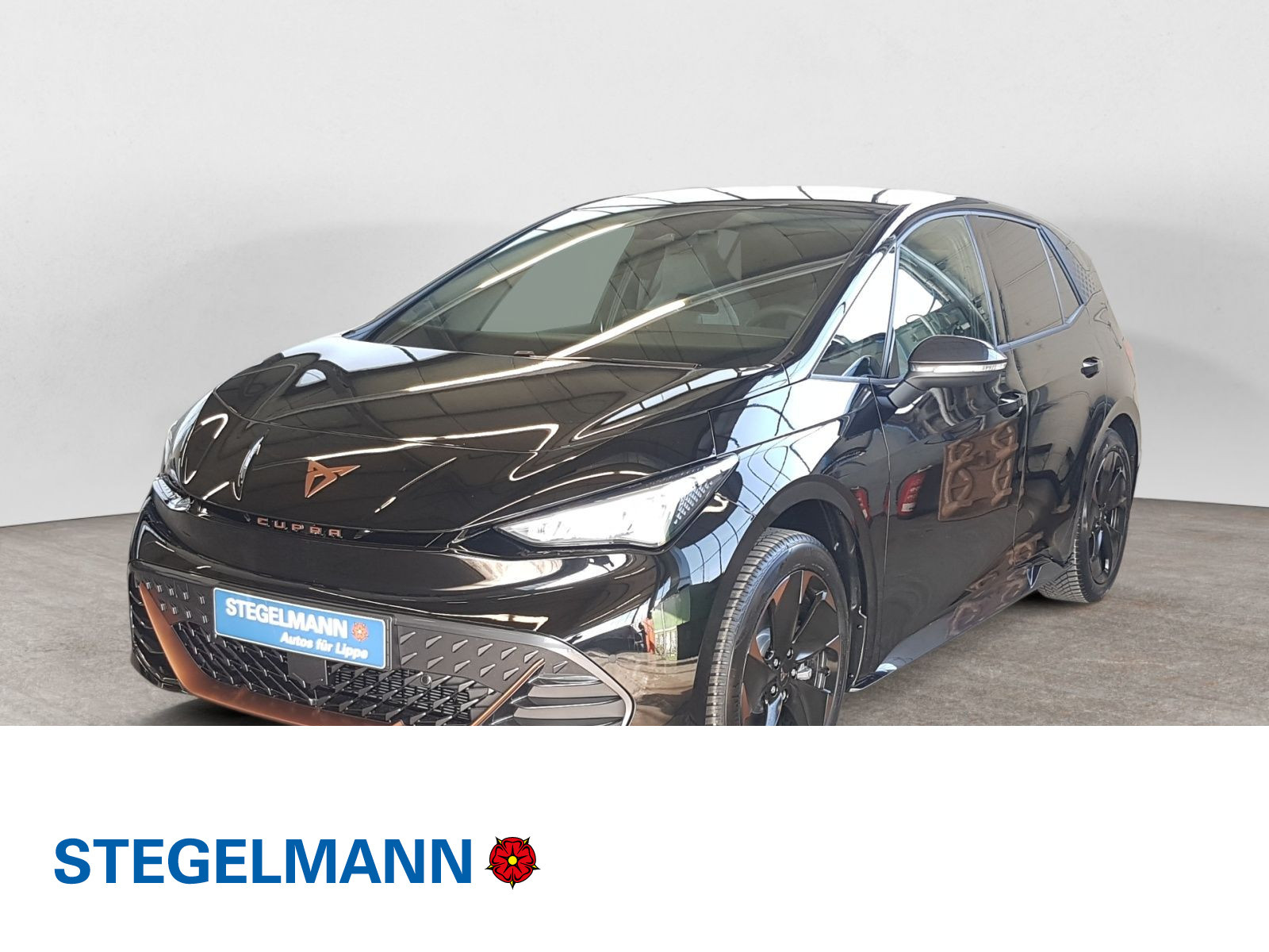 Born 60 kWh Edition Dynamic Ganzjahresreifen Navi Kamera LED