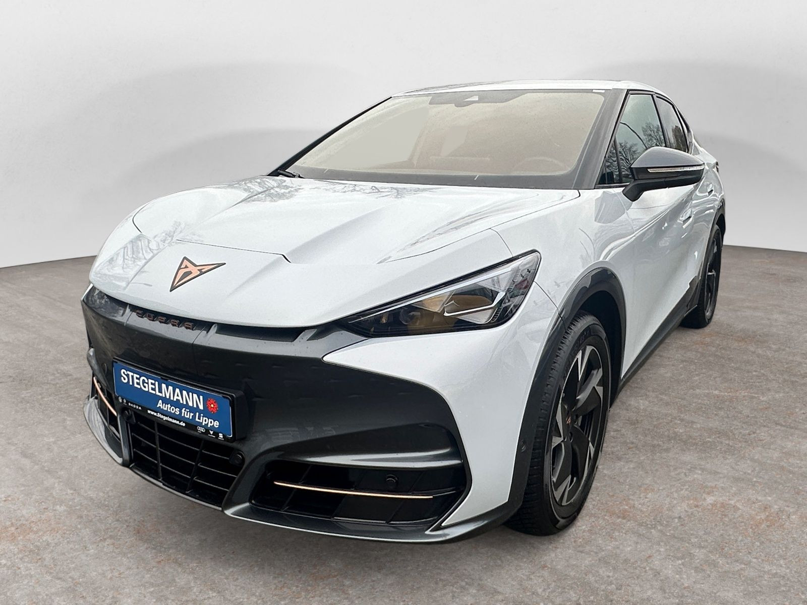 diagonal-frontansicht-aussen