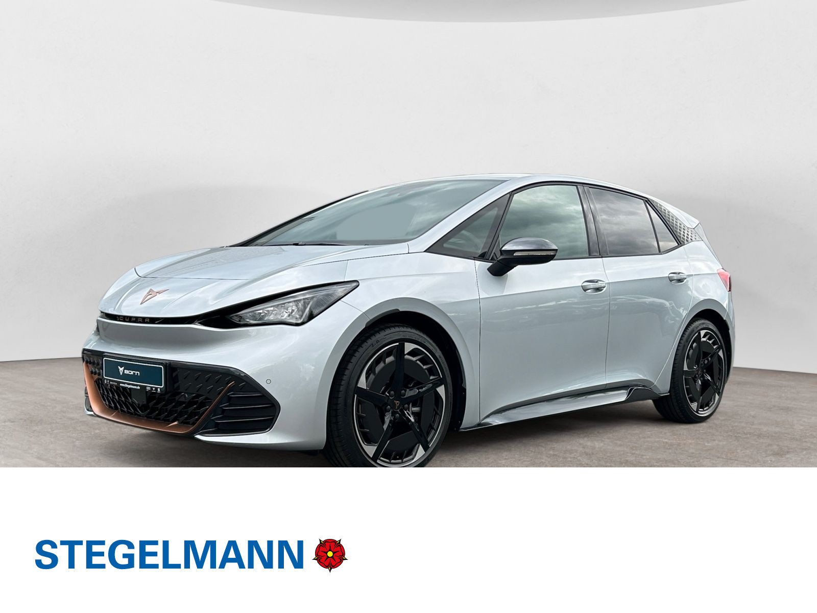 Born Edition Dynamic 77kWh Navi Kamera DDC