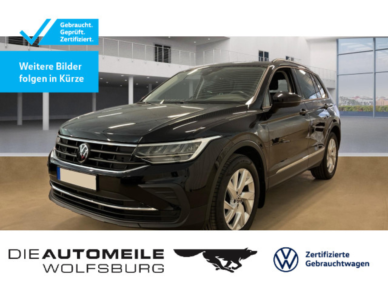 Tiguan 1.5 TSI DSG Life STANDHZ/AHK/LED