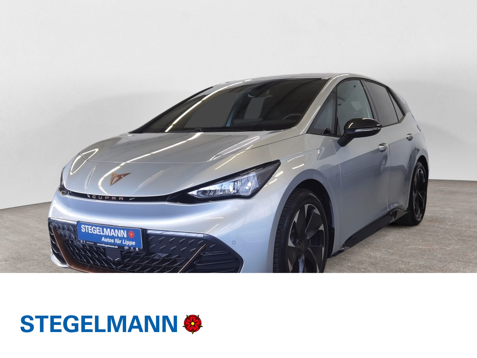 Born 170kW/77kWh *LED*Navi*Kamera*