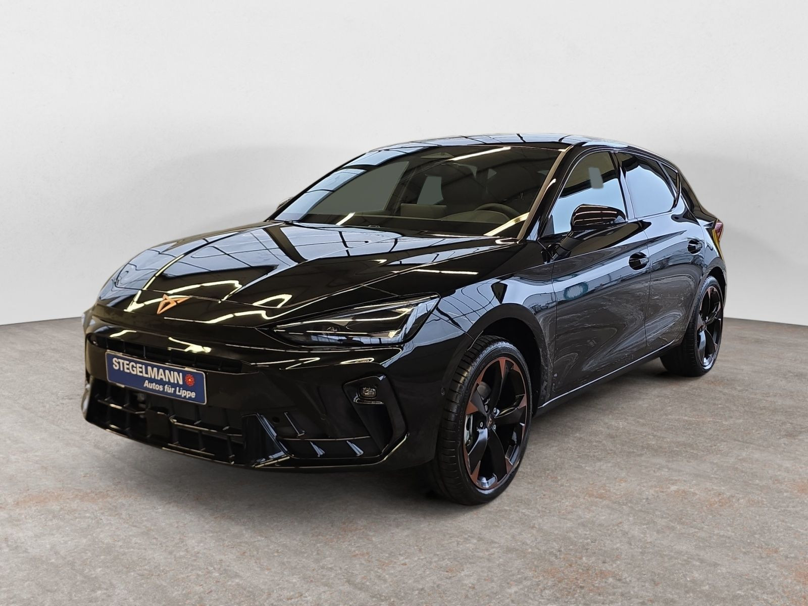 diagonal-frontansicht-aussen