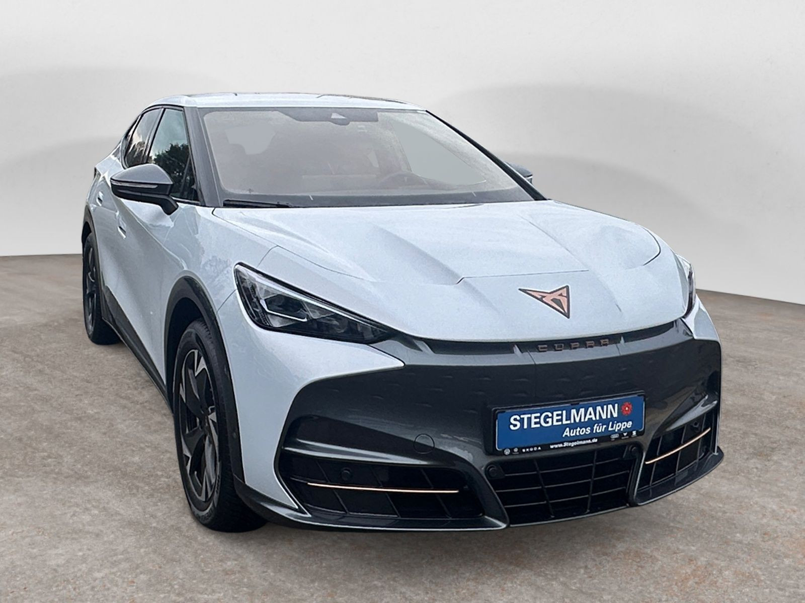 diagonal-frontansicht-aussen