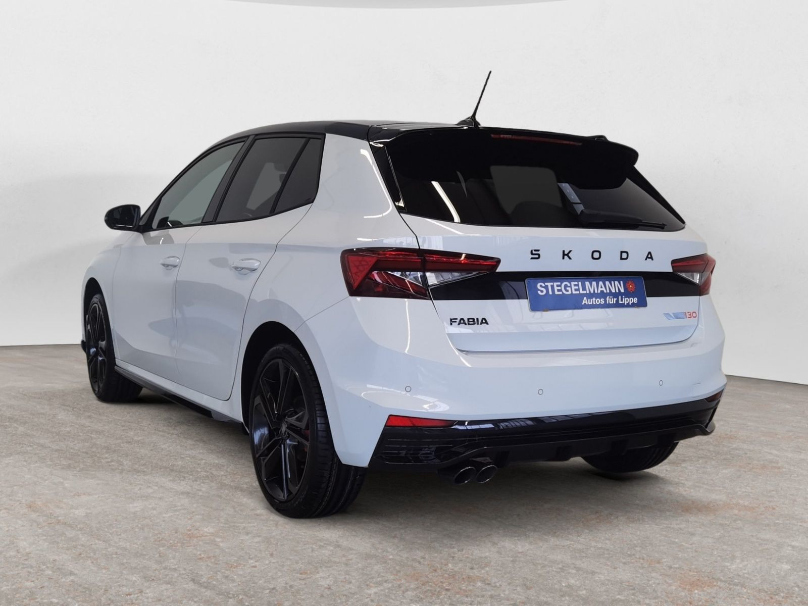 diagonalansicht-hinten-aussen