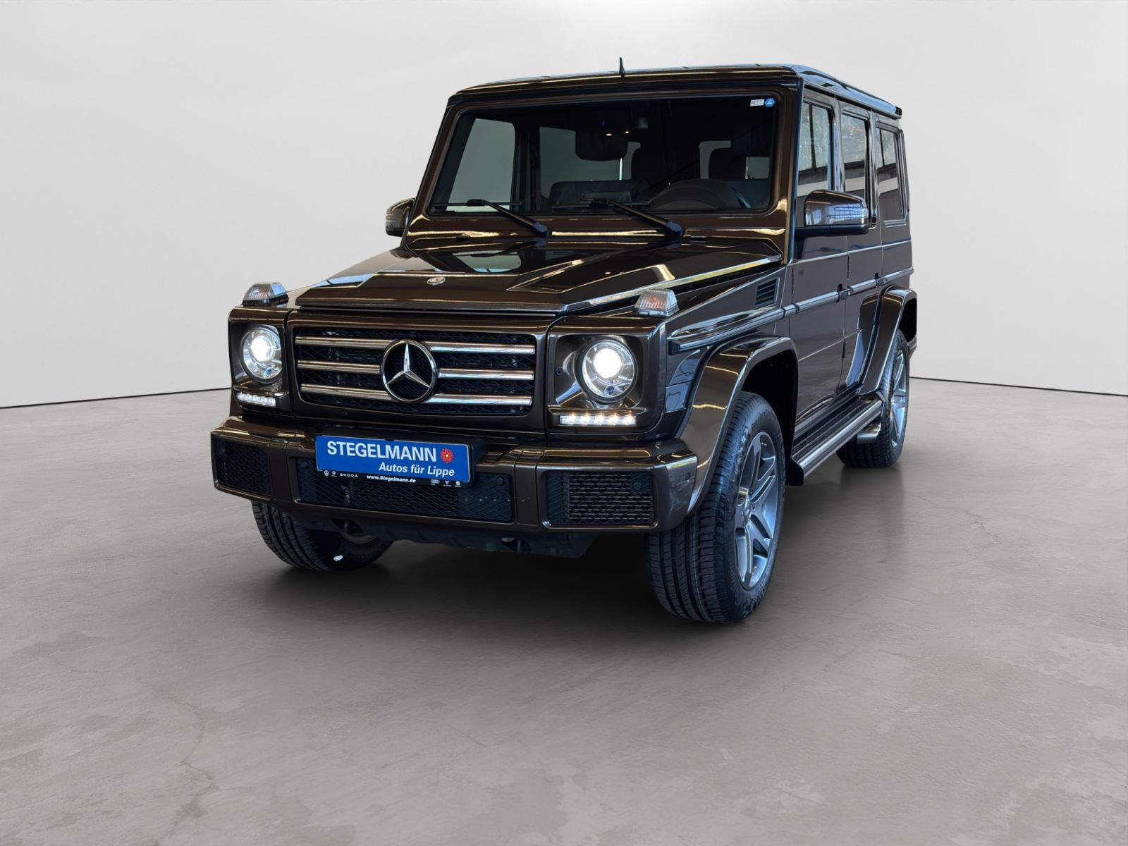 Mercedes-Benz - G 350_2