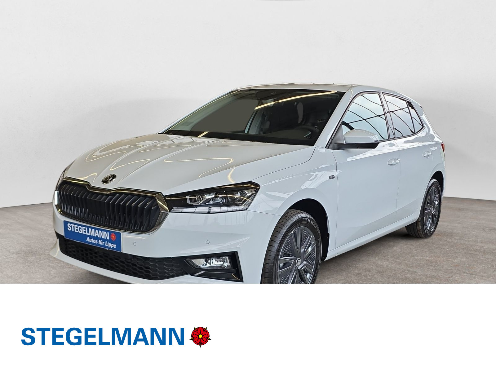 diagonal-frontansicht-aussen