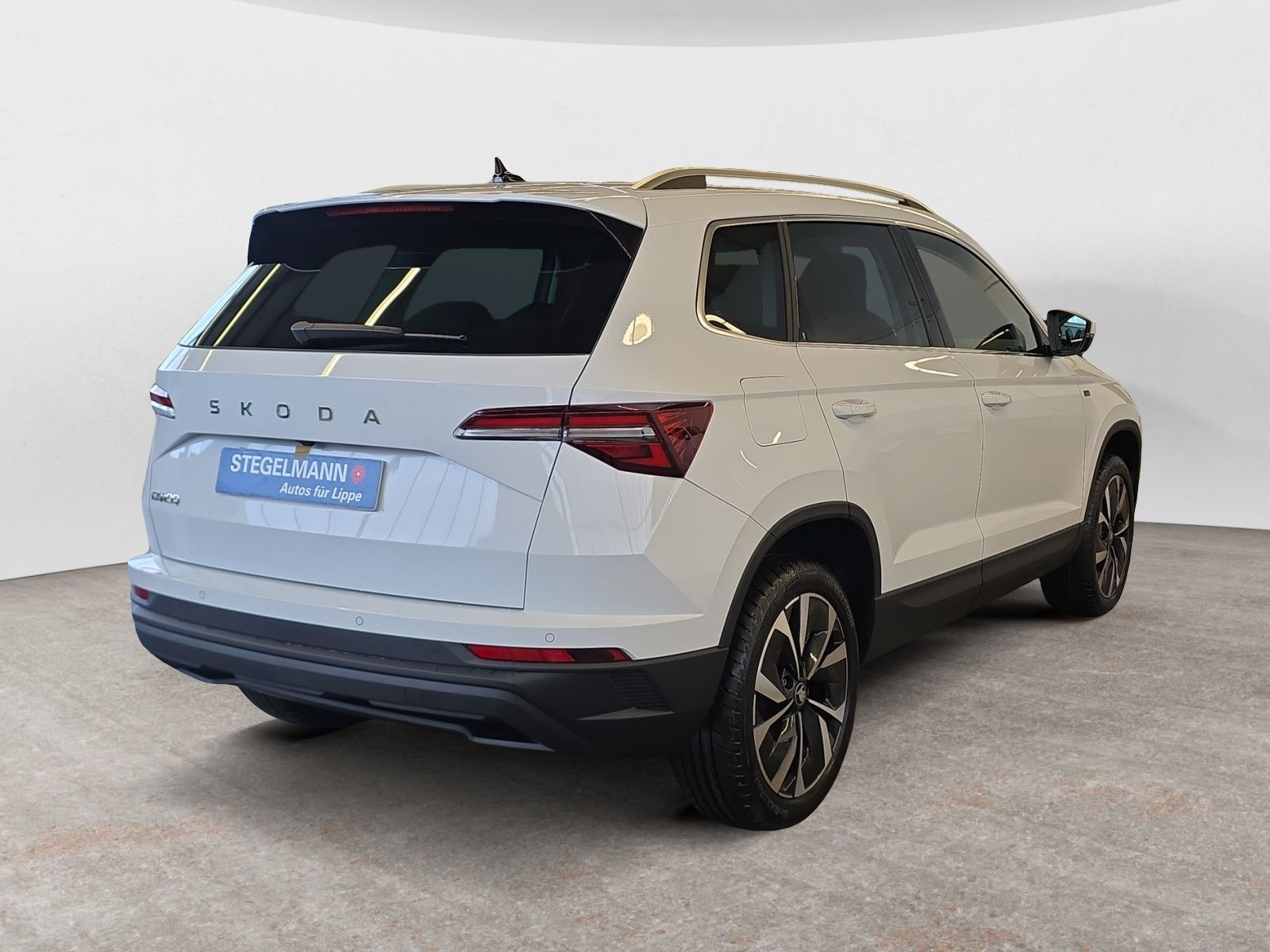 diagonalansicht-hinten-aussen