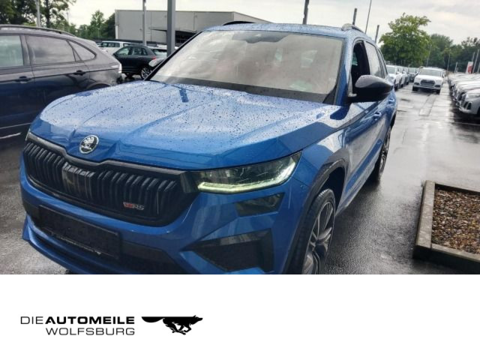 Kodiaq 2.0 TSI DSG 4x4 RS Standhzg/Pano/Rückkam