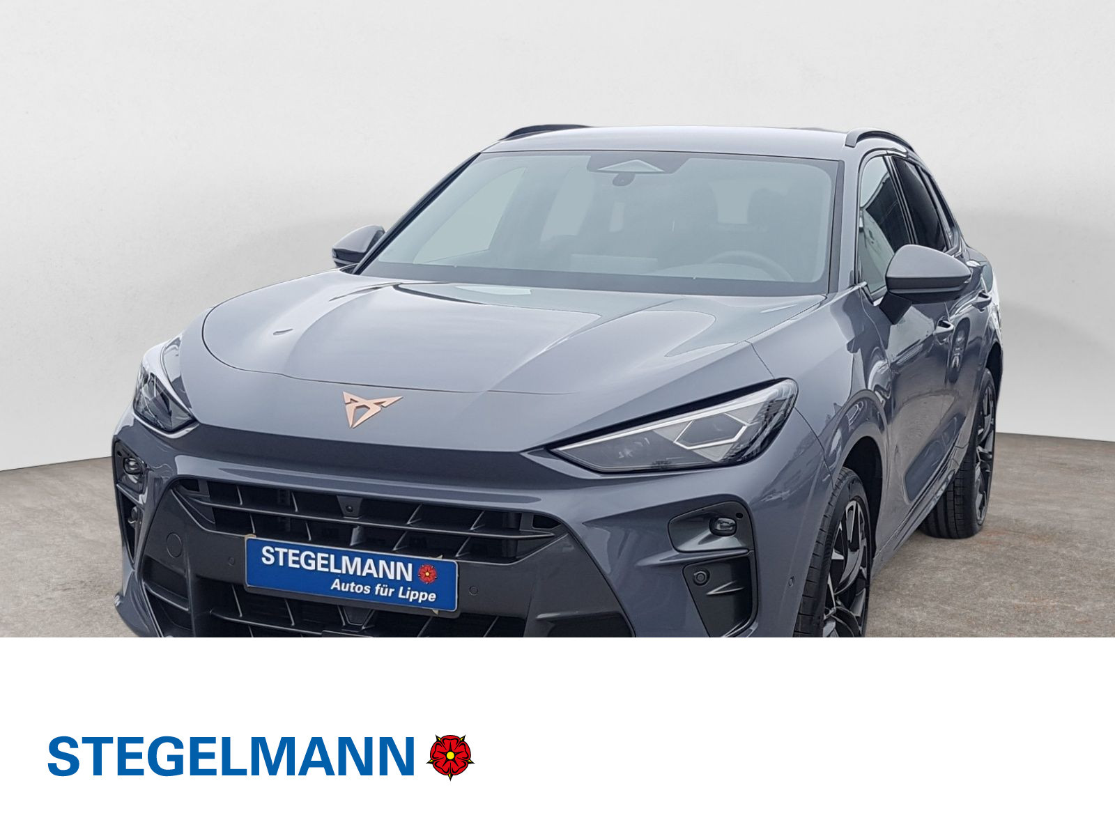 Terramar VZ 2.0 TSI DSG 4DRIVE HUD Matrix Sennheiser AHK Drive Paket XL
