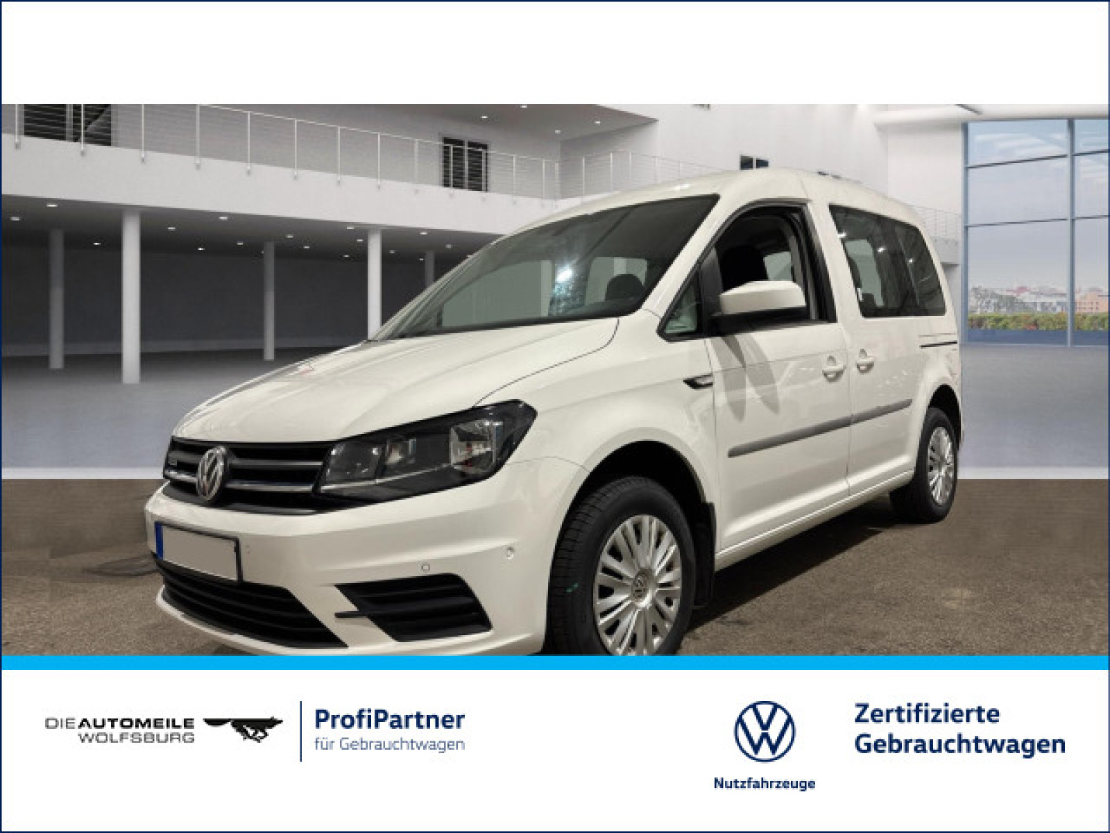 Caddy Kombi 1.4 TGI DSG Trendline AHK/FLÜGEL/SITZHZ
