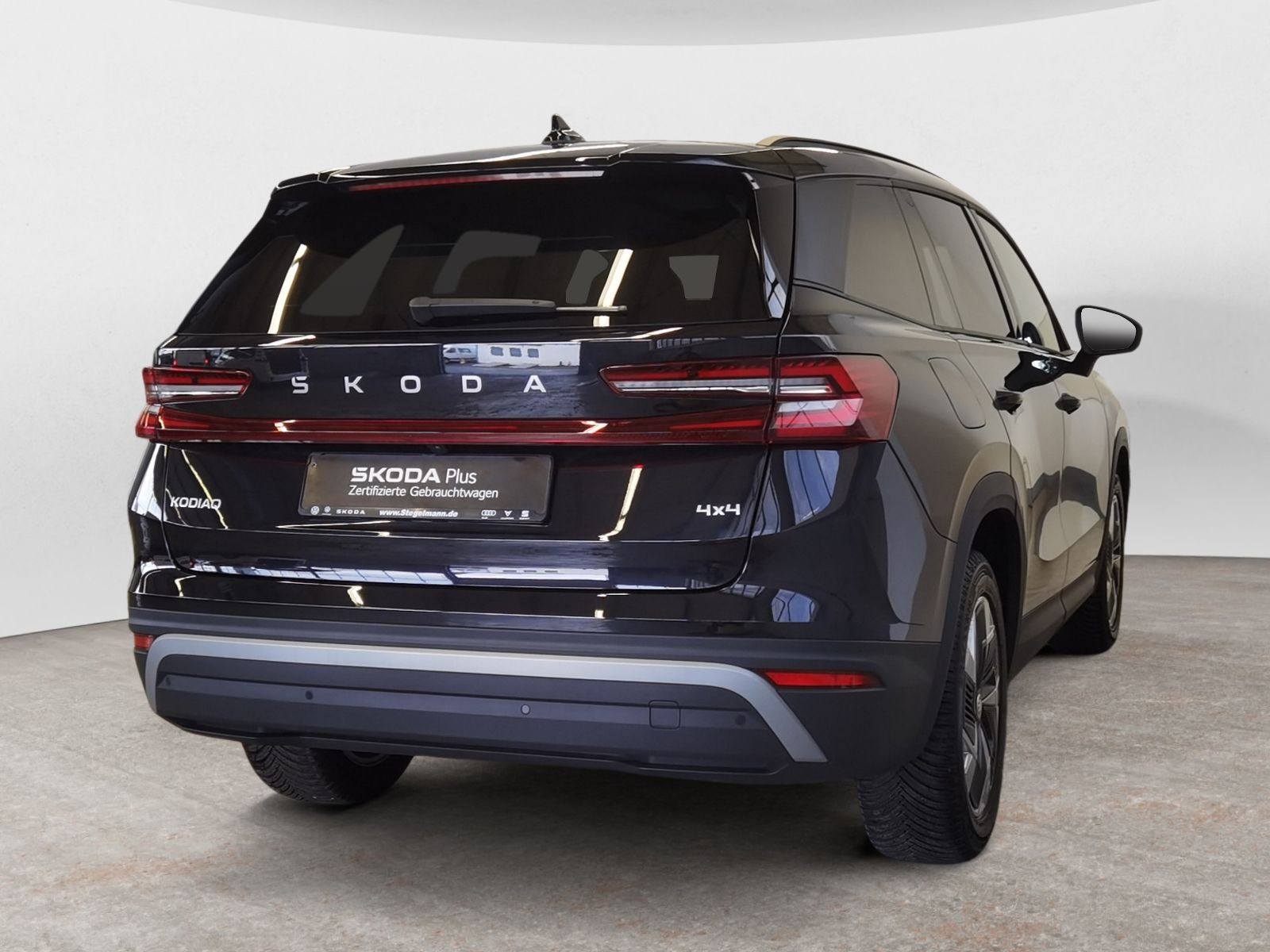 diagonalansicht-hinten-aussen