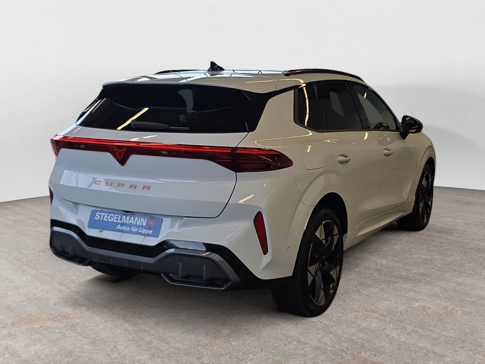 diagonalansicht-hinten-aussen