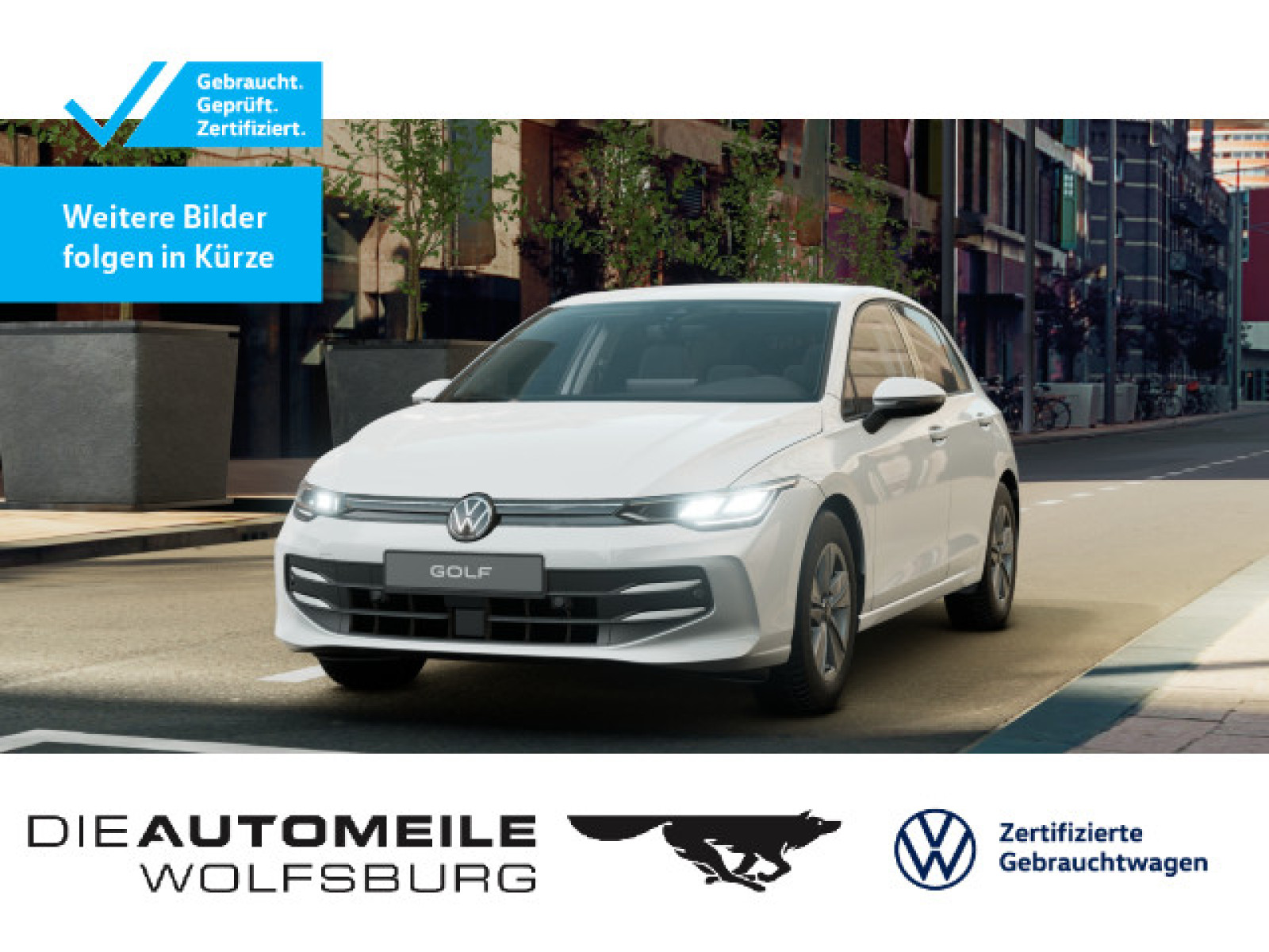 Golf 8 VIII 1.5 TSI Life AHK/ACC/LED