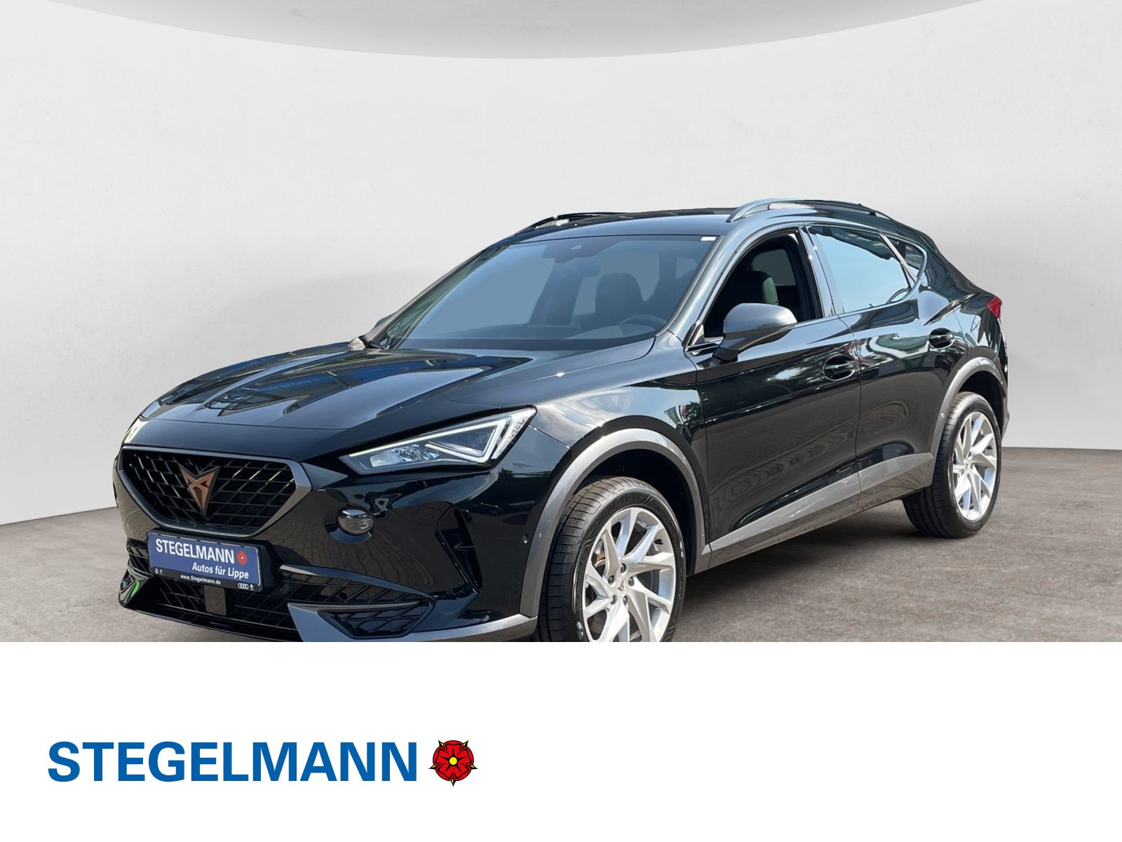 Formentor 2.0TDI 4Drive DSG NAVI KAMERA ASSISTENZ