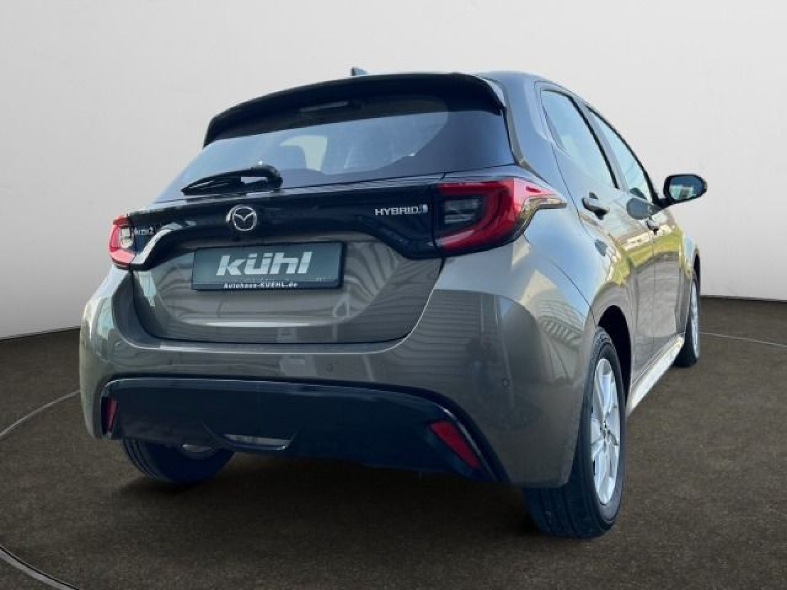 diagonalansicht-hinten-aussen