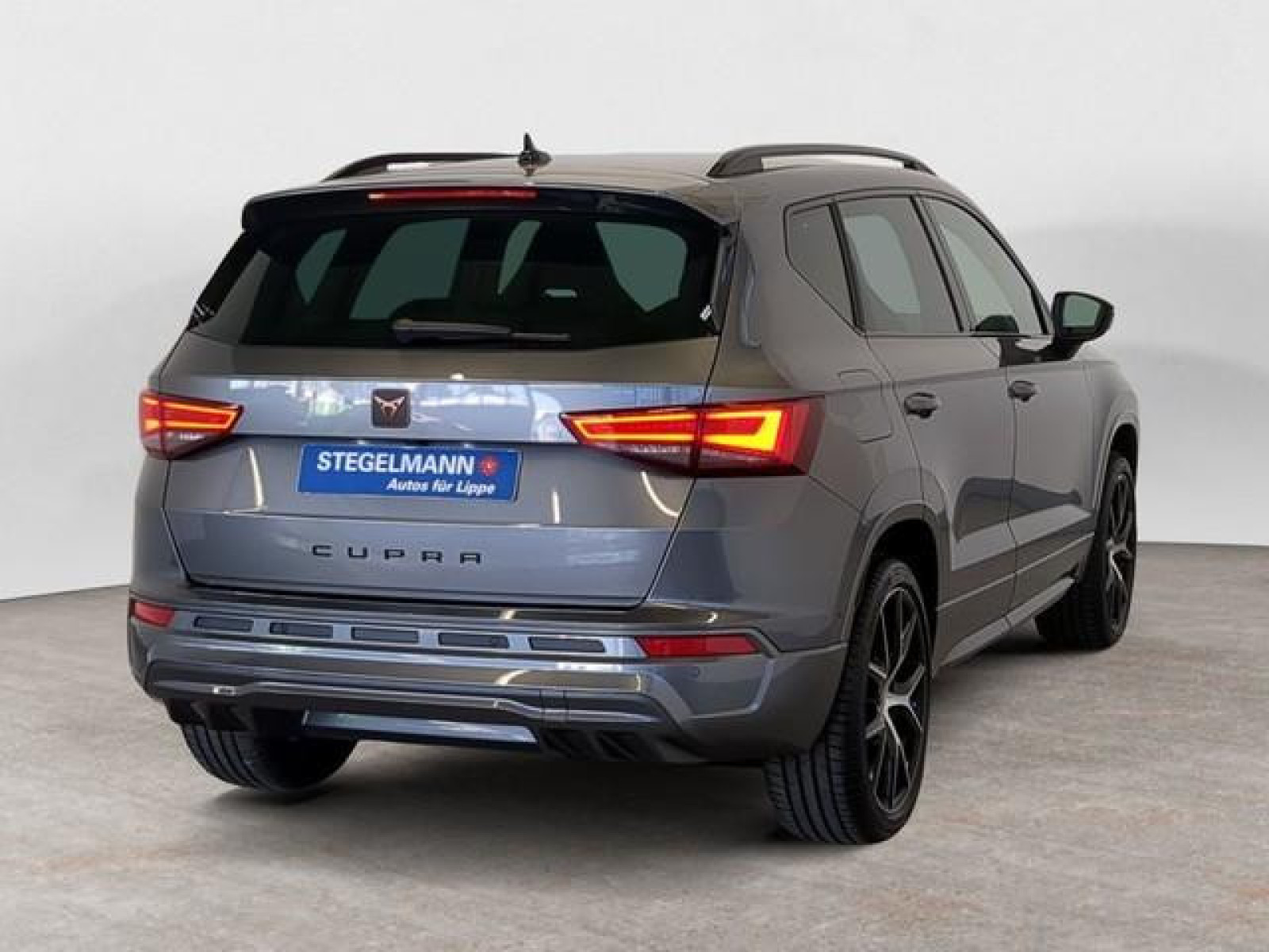 diagonalansicht-hinten-aussen